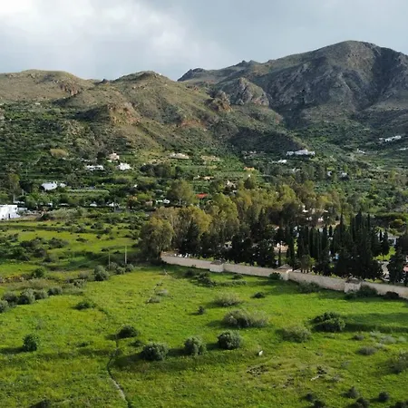 Seraphina Bookings *